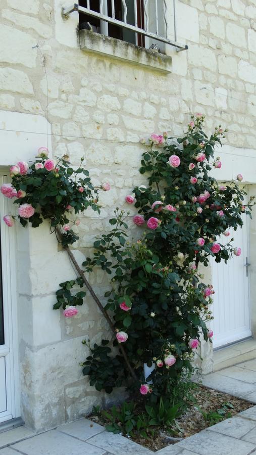 Moulin De Reigner Bed & Breakfast Anche  ภายนอก รูปภาพ