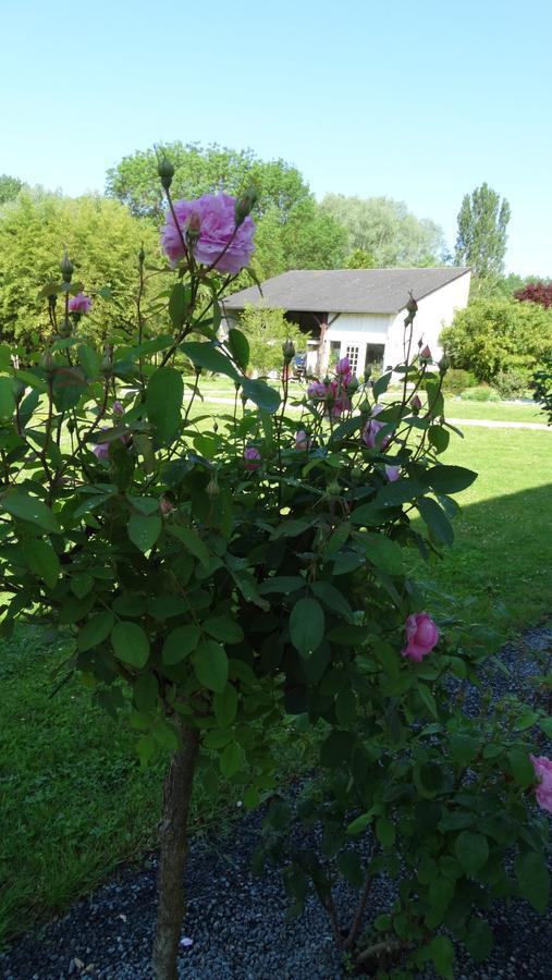 Moulin De Reigner Bed & Breakfast Anche  ภายนอก รูปภาพ